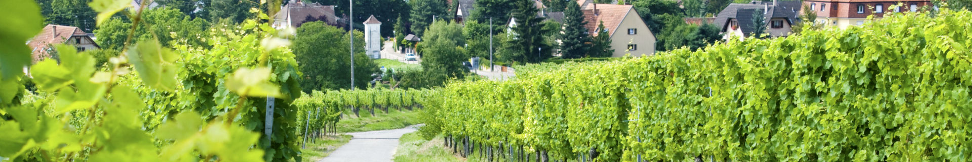 kleinschalig kamperen