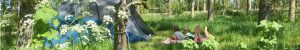 Unieke campings