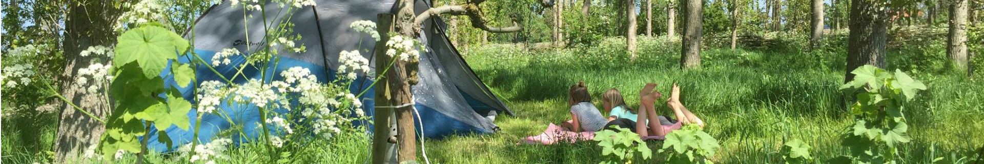Unieke campings
