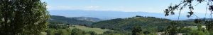 Valence