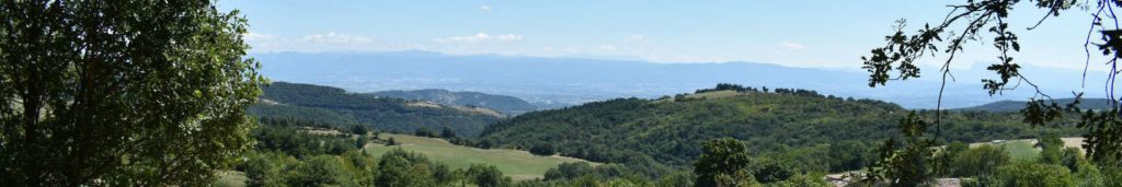 Valence