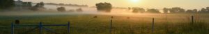 Boerderijcamping