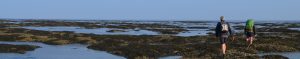 Wadlopen