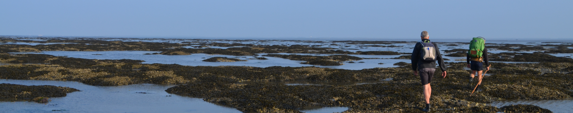 Wadlopen