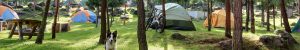 Gespecialiseerde campings