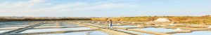 Marais salants de Guérande