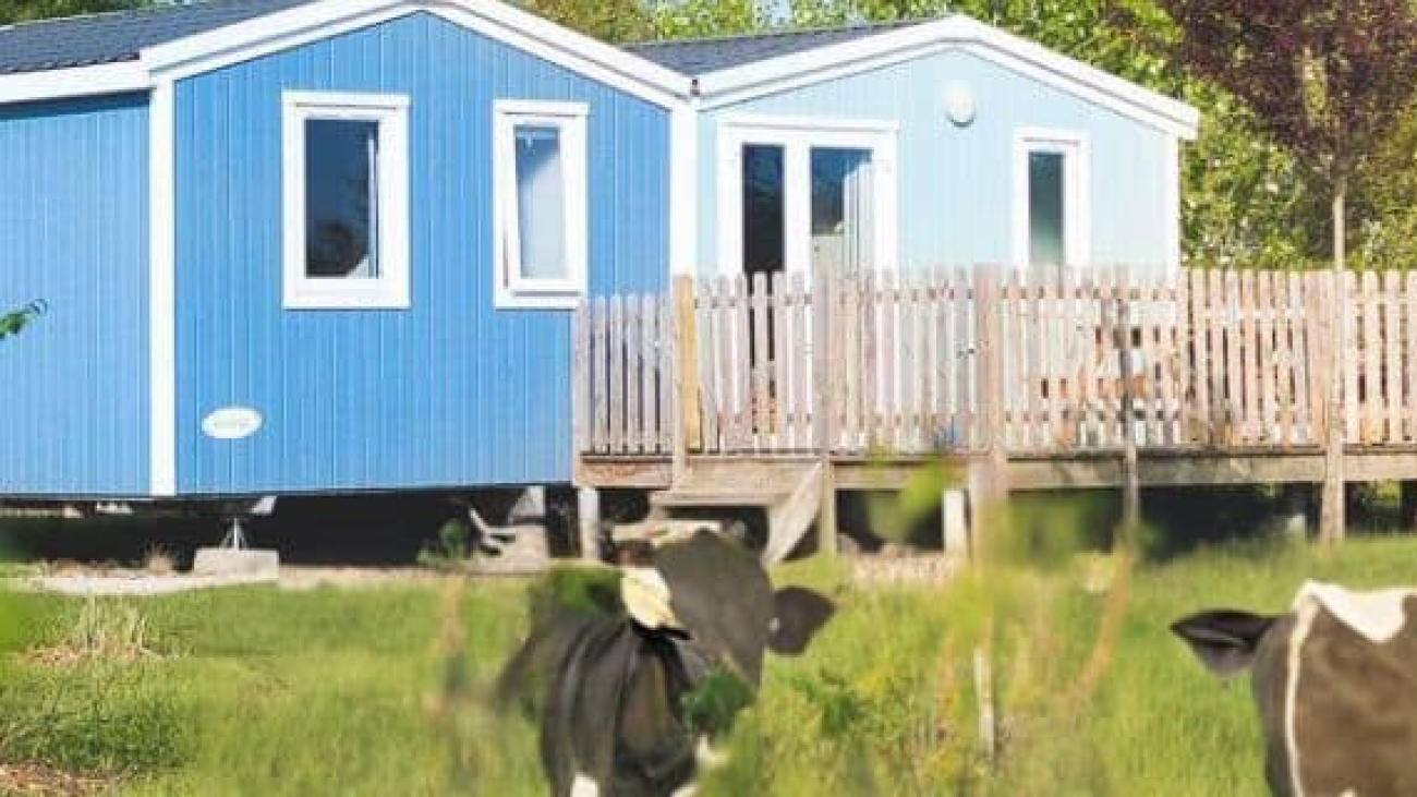 Glamping bij de boer