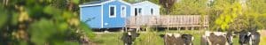 Glamping bij de boer